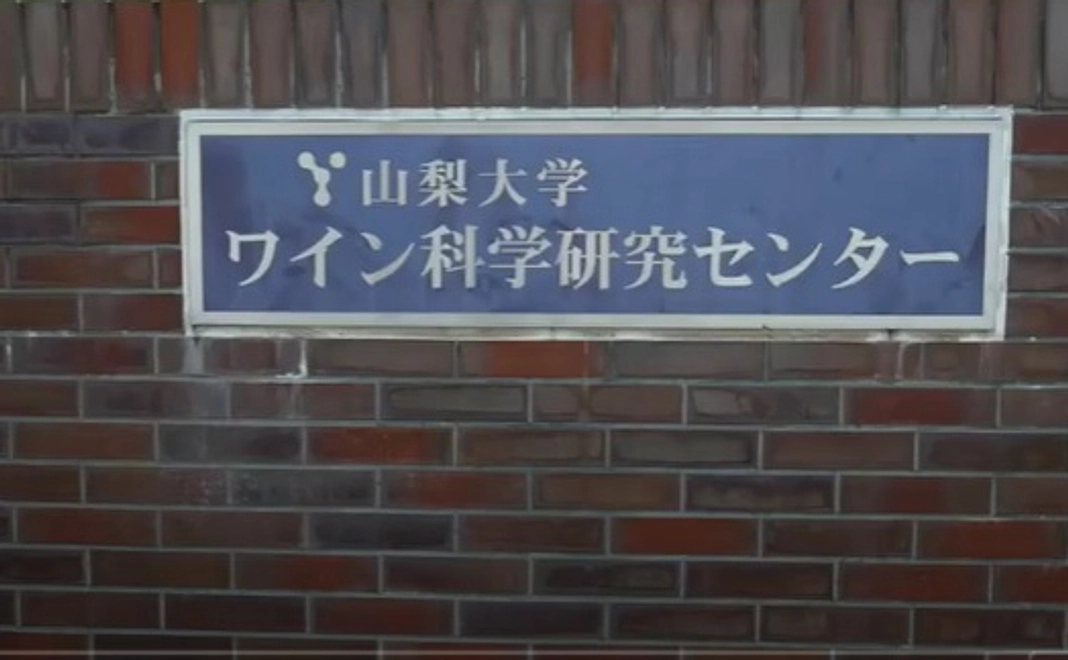 応援・寄附コース②