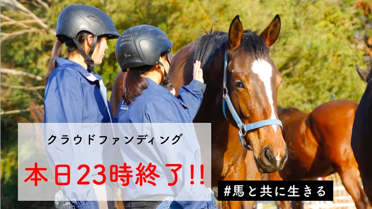 セリで買い手がいない馬を1頭でも多く救い、競走馬デビューへ！