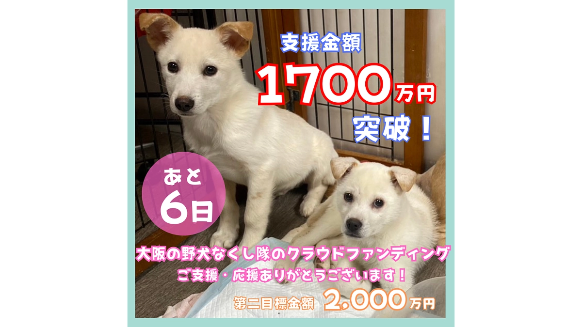 【あと6日❗1700万円突破しました！】皆さまの優しさや願い、私にしっかりと届いています！