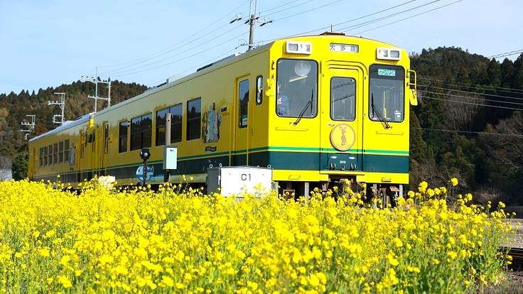いすみ鉄道&支店長の『いすみ鉄道を元気にするプロジェクト！』