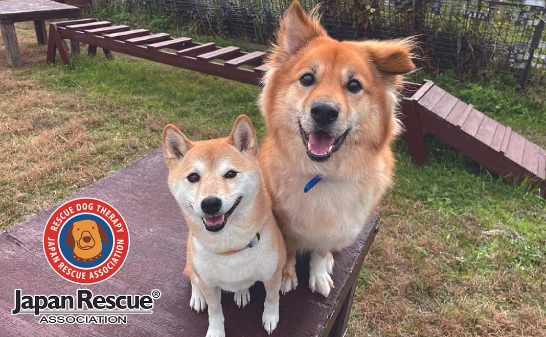 ￥500 応援コース