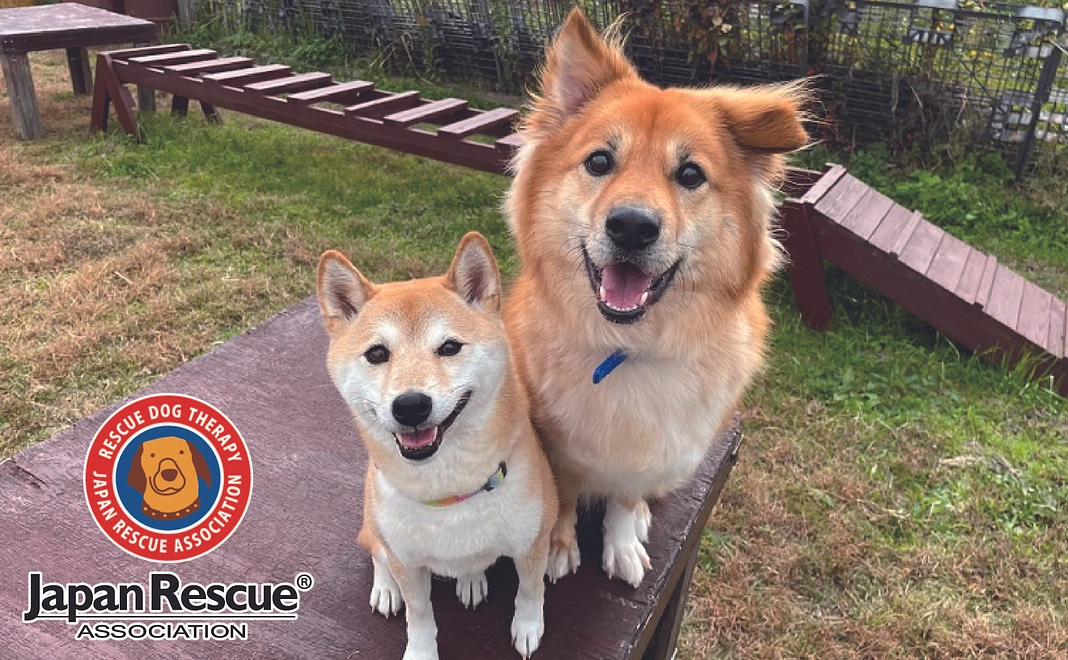 ￥3,000 応援コース