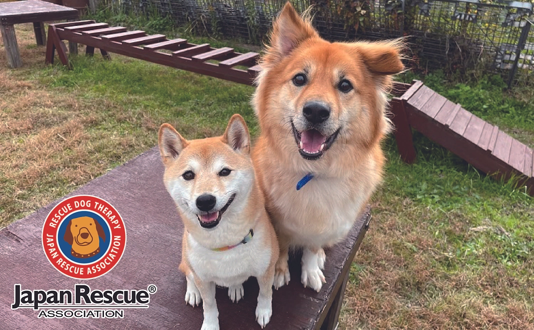 ￥50,000 応援コース