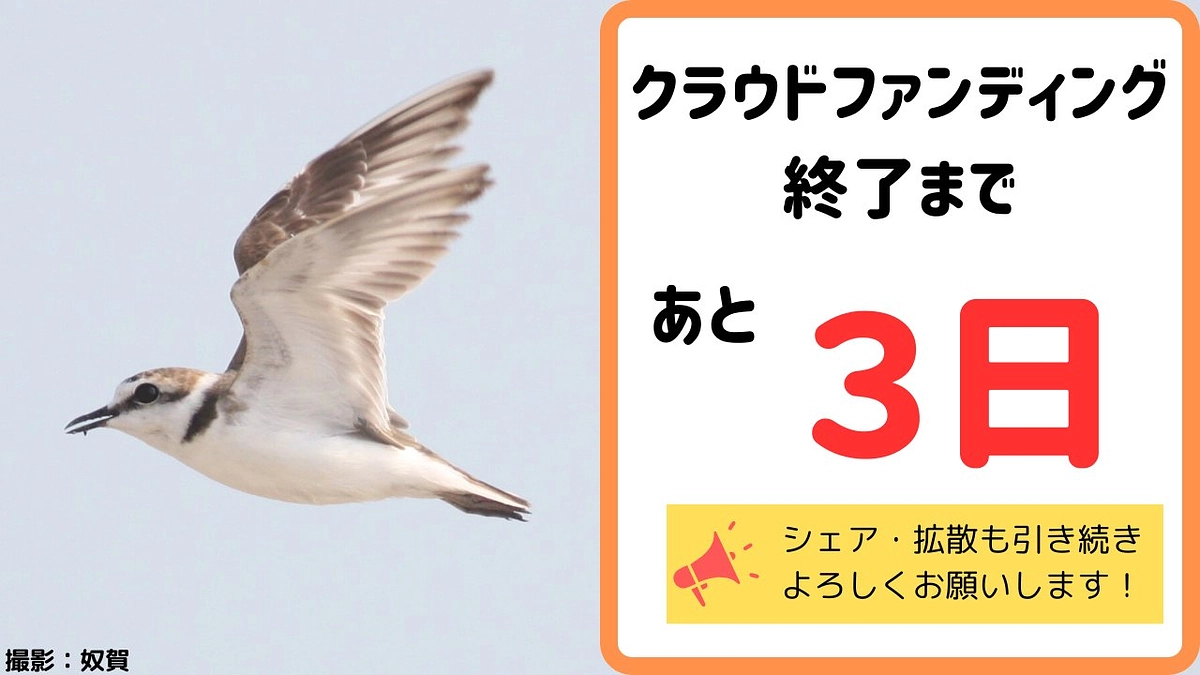 【残り3日】最後までよろしくお願いいたします！