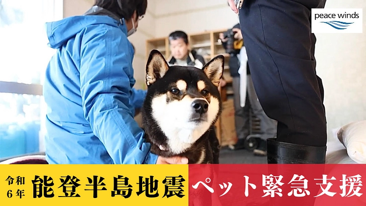能登半島地震緊急支援～ペットと共に生き抜く全ての「家族」を守りたい