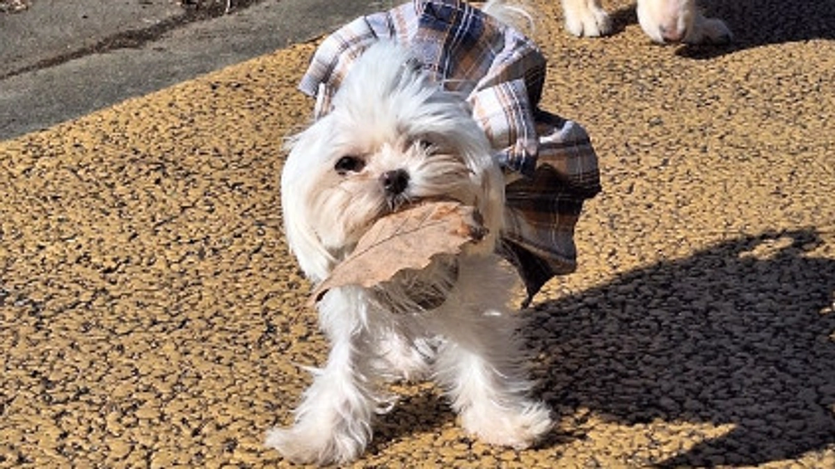 2023年11月・12月の収支報告