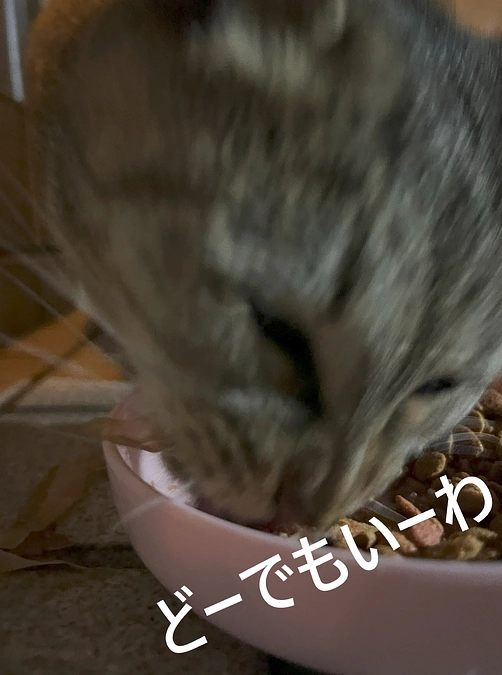 【活動報告】吐き出す本音