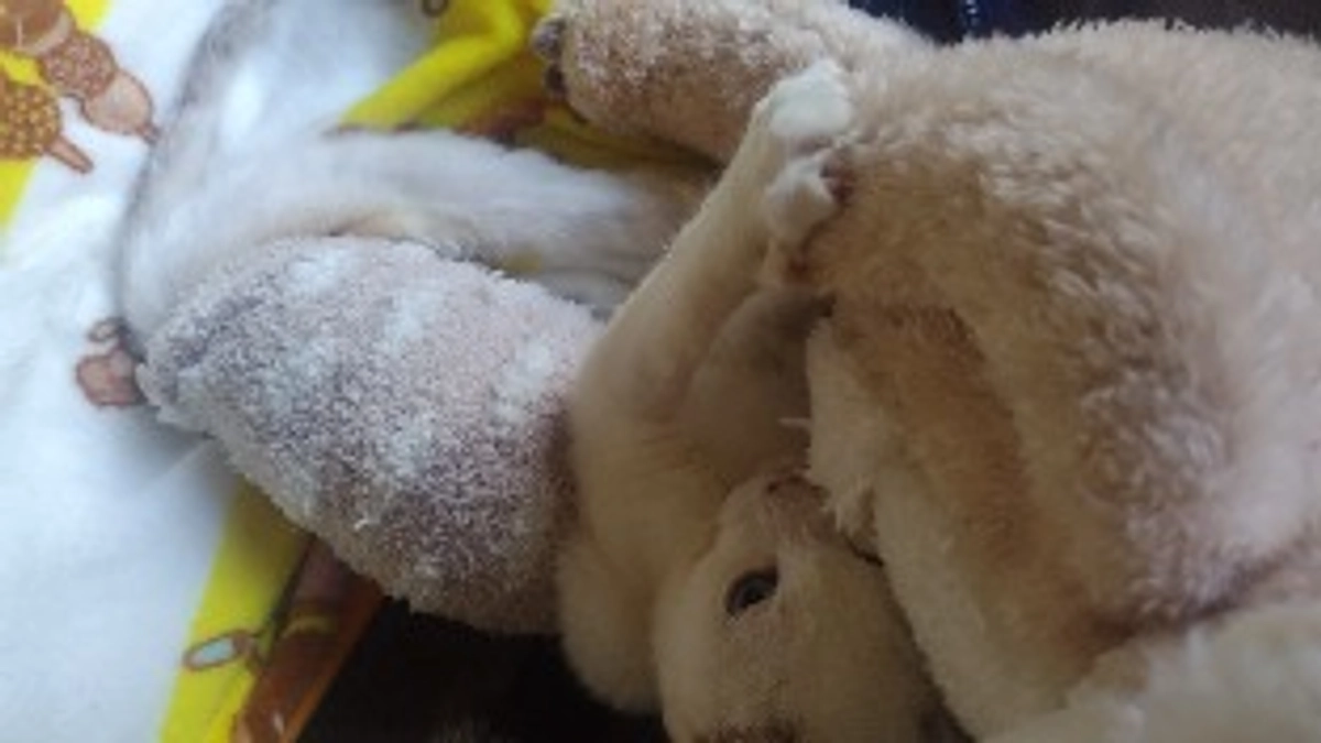 お友達と仲良くしています！