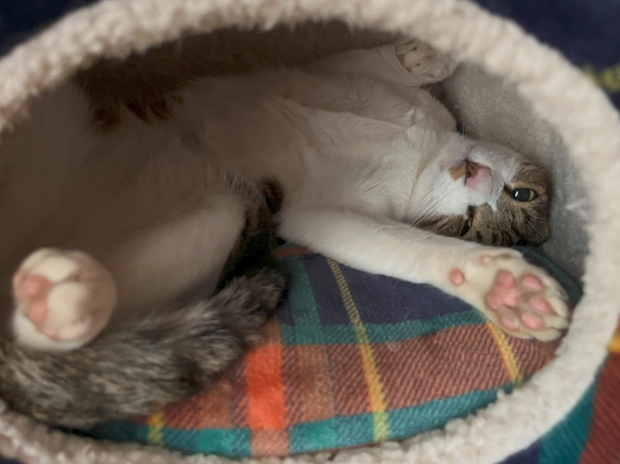 【活動報告】むすび新聞