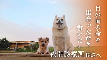 夜に聞こえる犬猫のSOSに応えたい。明日へ命を繋ぐ夜間診療所開設へ のトップ画像