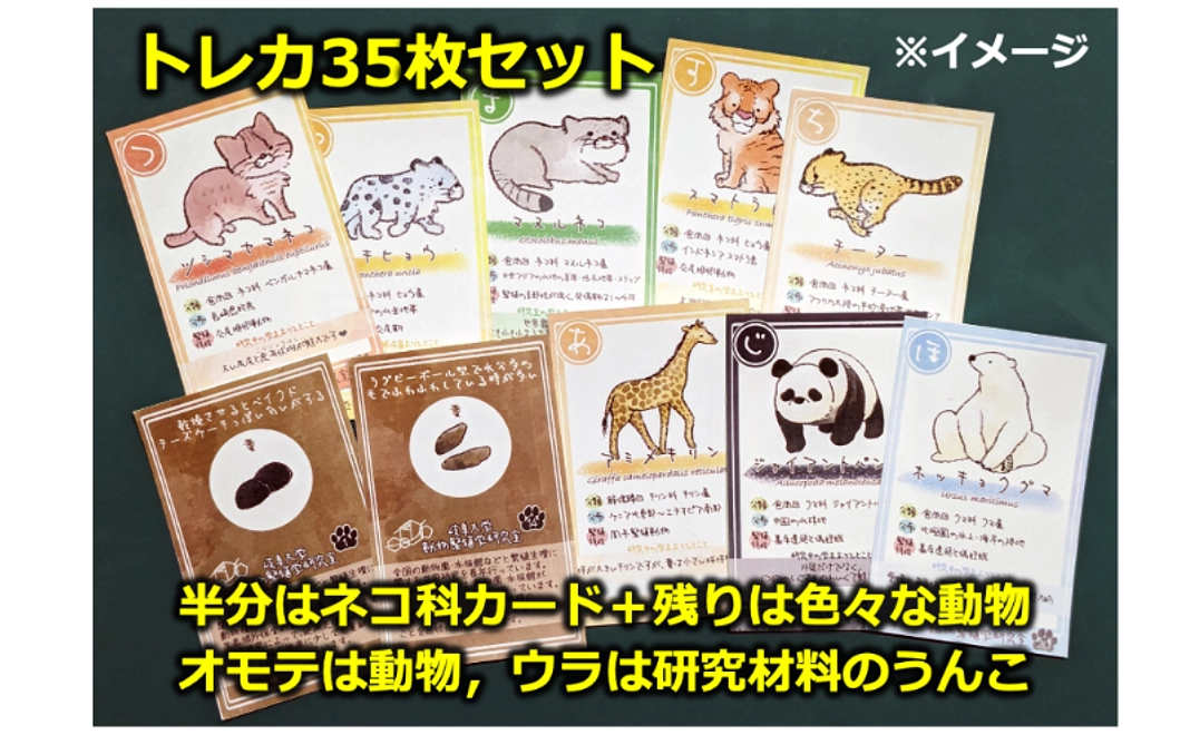 動物トレカ35枚セットコース