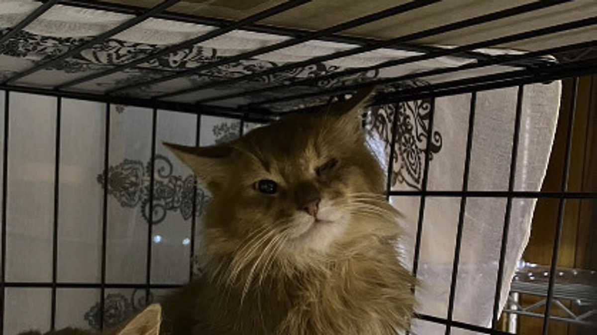 2月の中間報告！