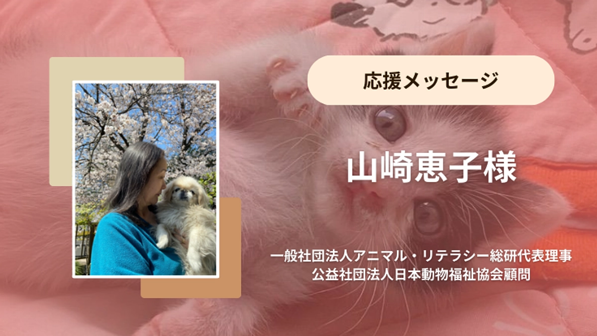 山崎恵子様から応援メッセージをいただいております！