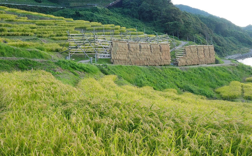 1万円 支援コース