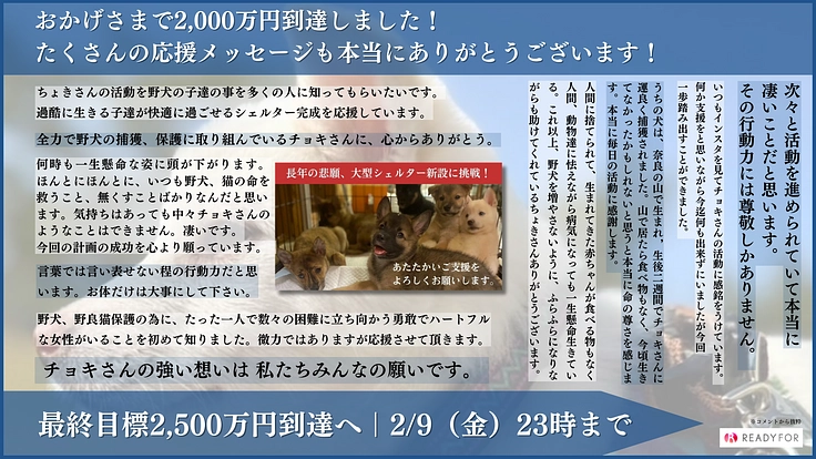 人知れず消えていく命をゼロに。悲願「野犬の保護シェルター」新設へ 9枚目