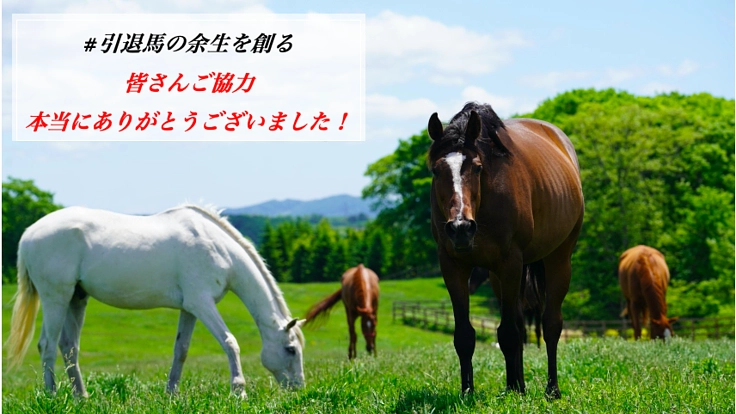 #引退馬の余生を創る：馬と人とが共存共栄できる牧場が描く未来
