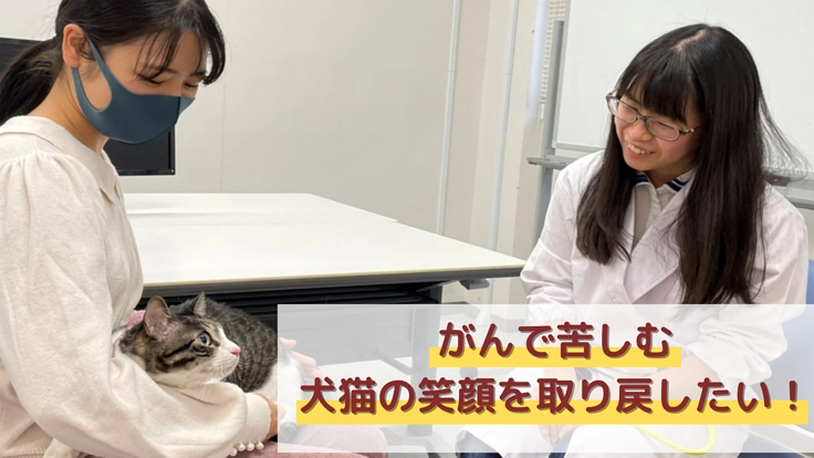 がんで悩むペットを救うために。ベンチャーを立ち上げたい！