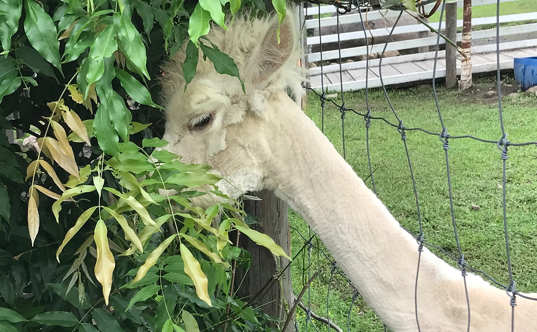 毎月5000円コース