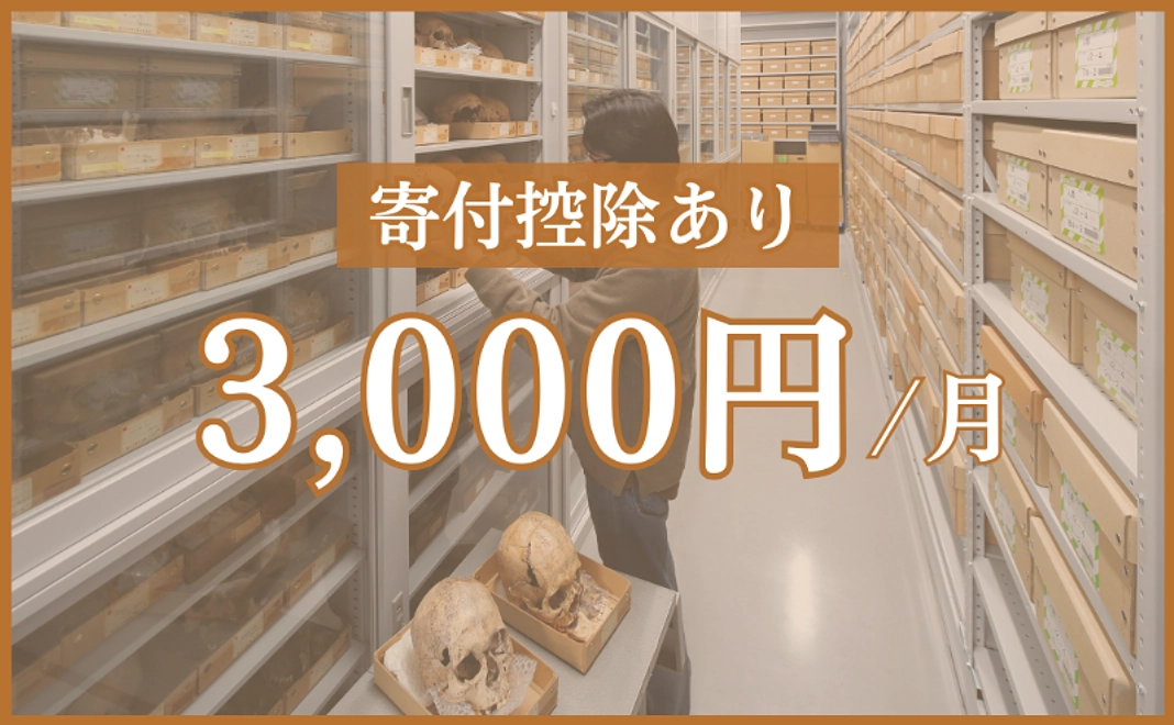 【スタンダード】毎月3,000円コース