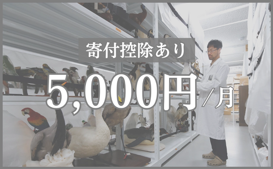 毎月5,000円コース