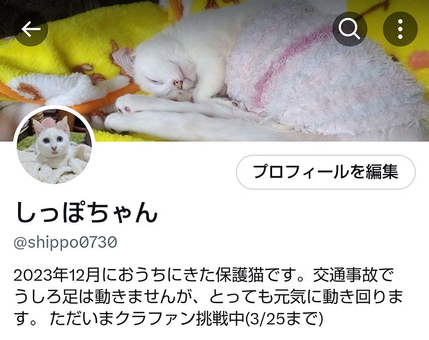 X(旧Twitter)はじめました！