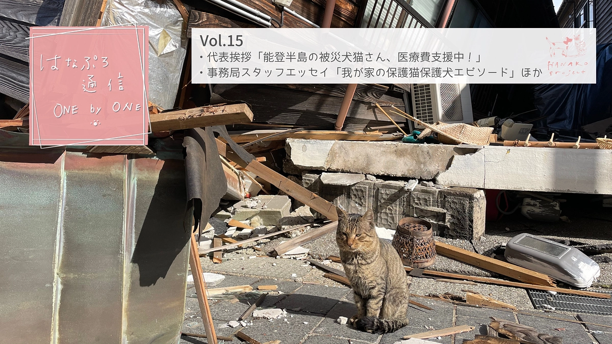 「はなぷろ通信 one by one」Vol.15