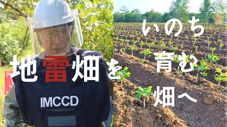 地雷畑から自立復興につなぐ畑へ。芽ばえつつある加工産業を守れ