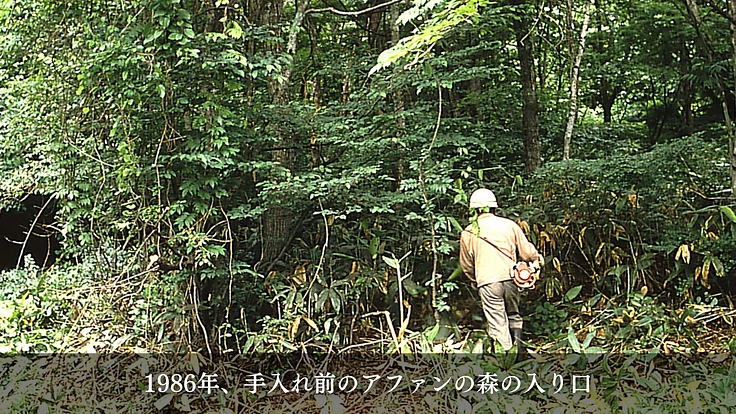 100年後の森の姿をアニメーションで描き、多くの人に伝えたい 3枚目