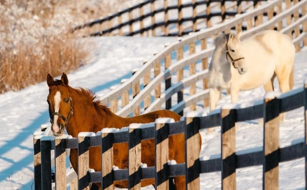 ステッカー＆ホームページにお名前を掲載させていただきます｜10,000円