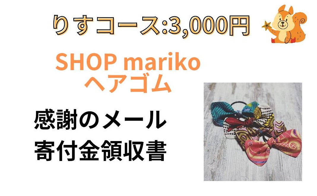 りすコース【ヘアゴム】