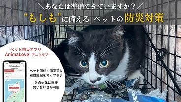 災害時にペットと一緒に避難できる施設がわかるアプリを開発したい のトップ画像
