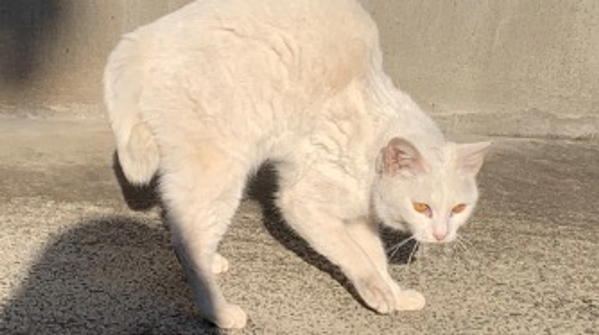 リターン送付のご報告