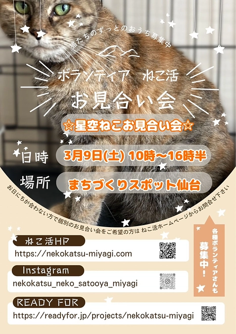 明日9日(土)仙台市内にてお見合い会を開催