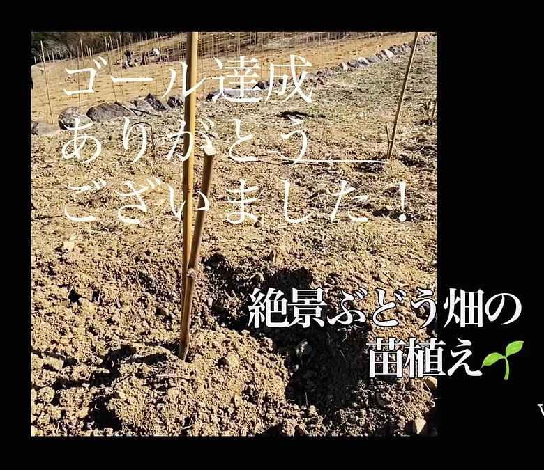 ご支援、本当にありがとうございます！ファーストゴール達成いたしました