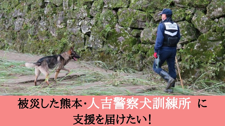 復旧支援:被災した熊本の災害救助犬・警察犬訓練拠点を再興