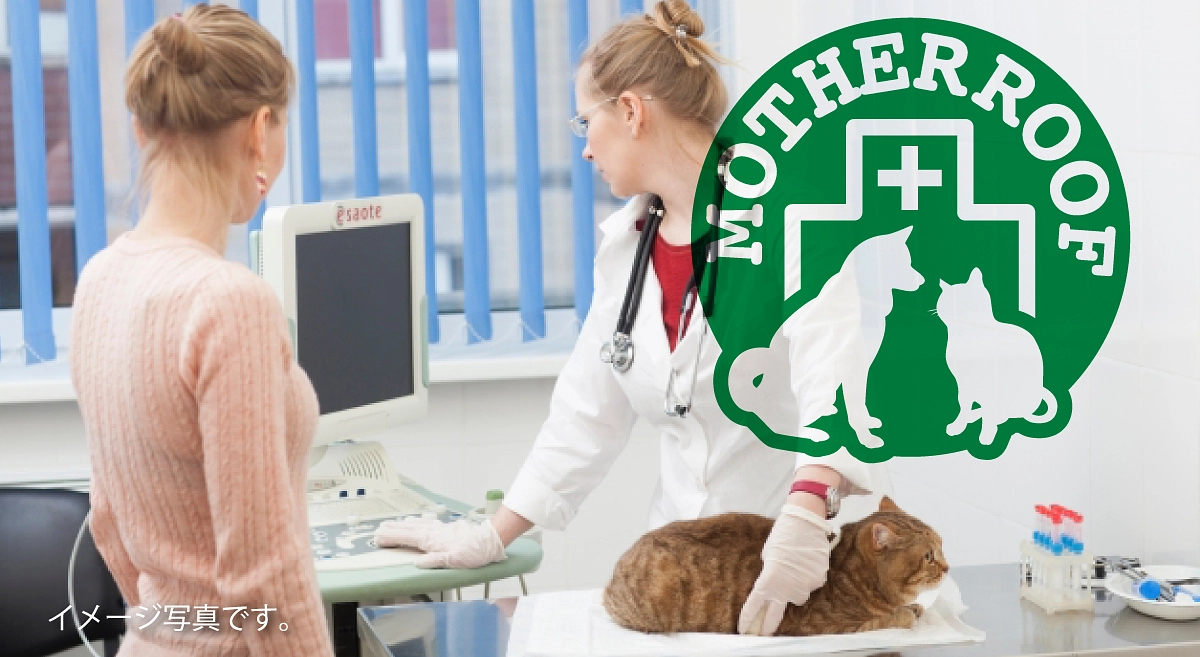 治療をしているけど猫がわるくなっているようなので…とのご相談でした。