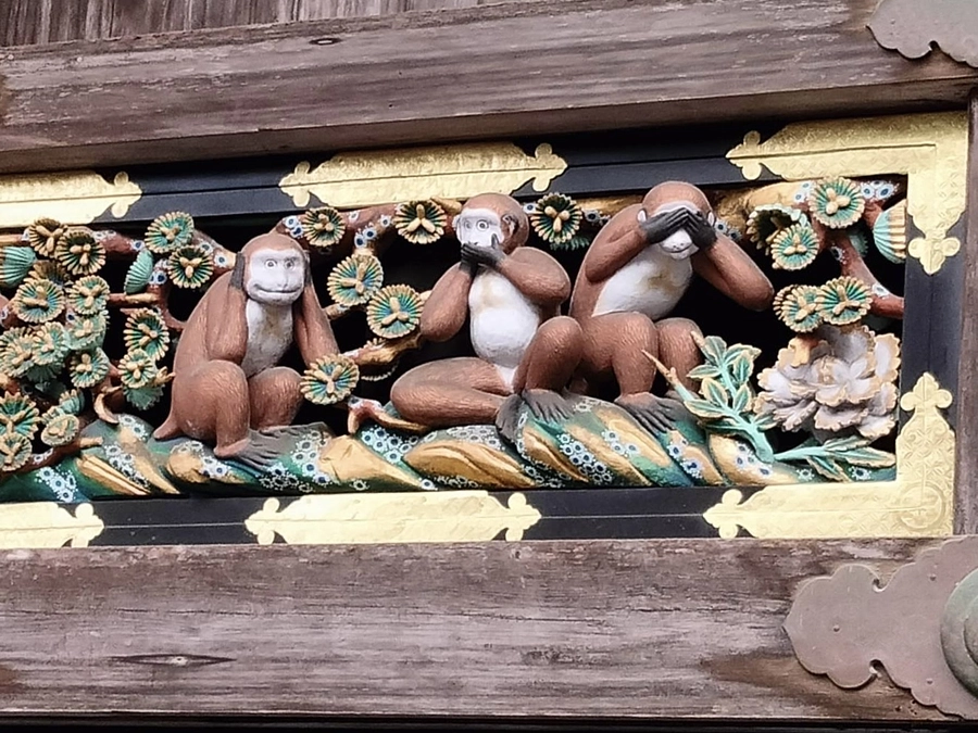 本日、日本テレビニュースeveryにて放送