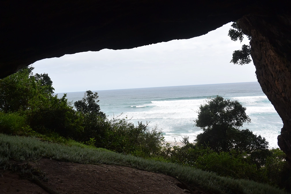 講演タイトルを提出しました