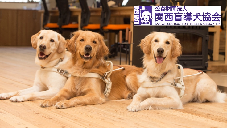 コロナで街頭募金やイベントが中止！盲導犬と引退犬の医療費にご支援を