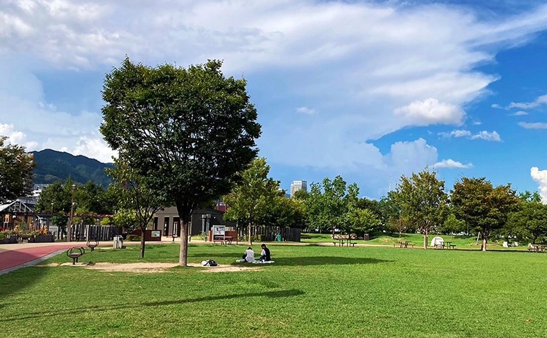 お気持ちコース+α