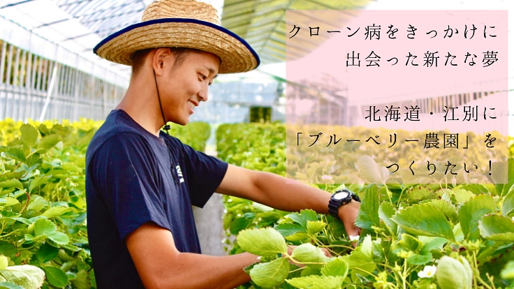 クローン病に負けない│公務員から北海道のブルーベリー農家へ転身