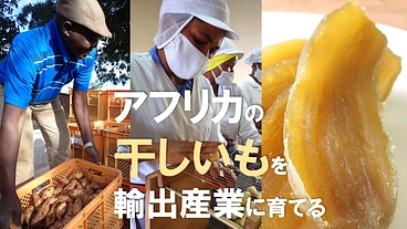 アフリカの農家と二人三脚でつくる理想の干しいも、本格輸出へ挑戦！ のトップ画像