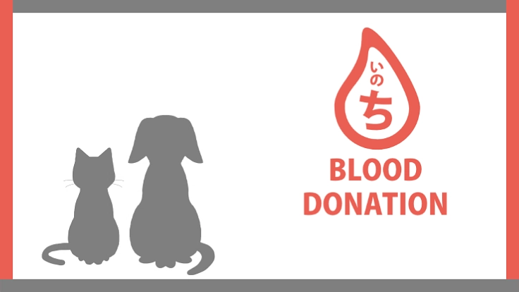 【血液で救う犬猫の命】助け合いで広げる輸血ドナープログラム構築へ