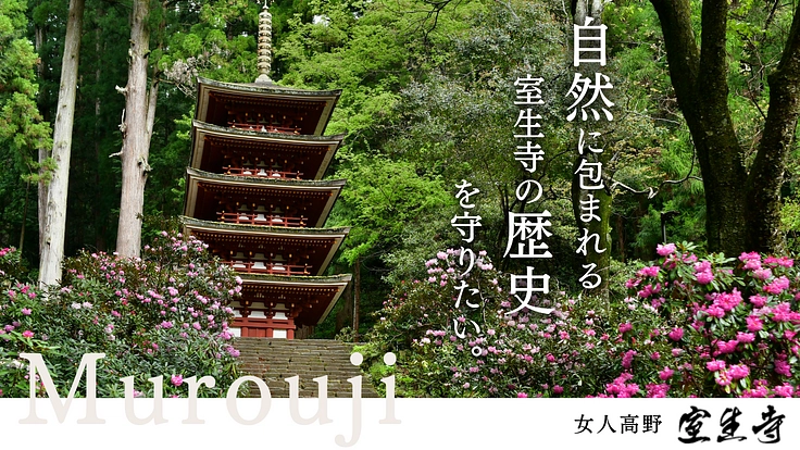 自然に包まれる、女人高野室生寺。境内整備と環境保全にご支援を。