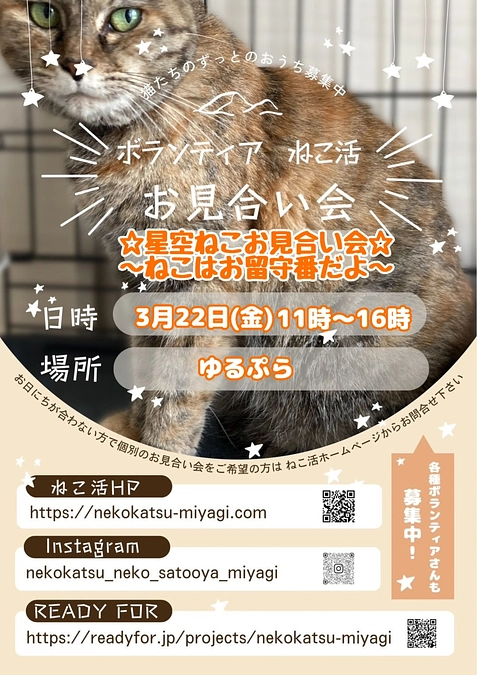 明日22日(金)写真でお見合い会を開催いたします。