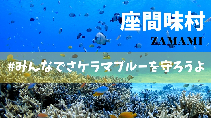 座間味の海を愛するひとたちと。離れていてもできるビーチクリーンを。