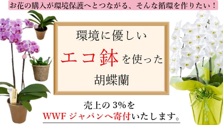 お花の購入が環境保護へとつながる、そんな循環を作りたい！
