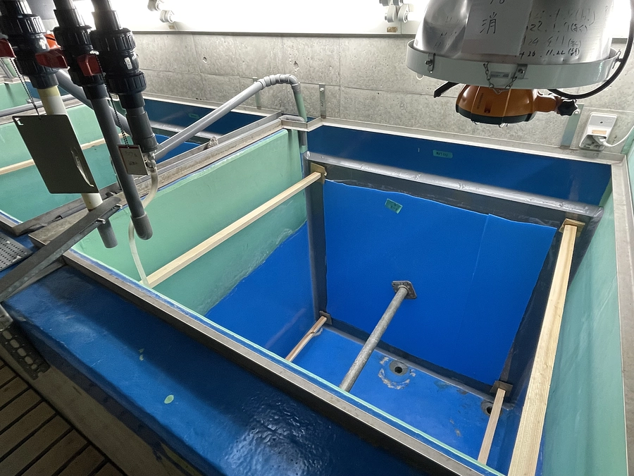 水槽に新しいアクリルが設置されました！