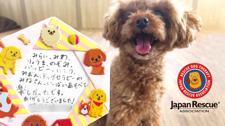 犬とふれあえるセラピードッグハウスの改修工事を実施したい!