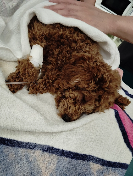 皆様、こんばんは！